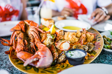 Wall Mural - Macro closeup of lobsters and seafood on plate with tartar sauce