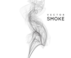 Canvas Print - Vector abstract smoke background