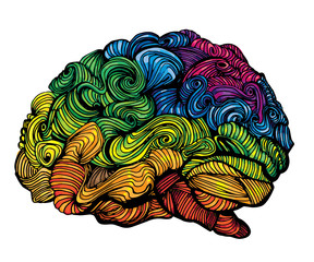 Wall Mural - Brain Idea illustration. Doodle vector concept about human brain. Creative illustration with colored brain and grey matter