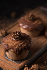 Chocolate muffins, decorated with a small cone on a dark wooden background. Low key. Cupcakes are poured with dark chocolate and cocoa powder. Cupcakes with unusual decoration.