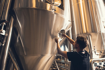 Wall Mural - Brewer working with industrial equipment at the brewery
