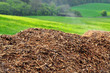 Wood chips biomass nature