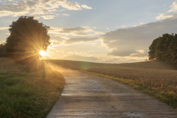 Wall Mural - country road after the rain evaporates from the heat of the sun