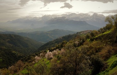 Canvas Print - kabylie