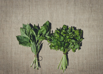 Background for the design of the menu. Parsley and basil on a background of linen cloth