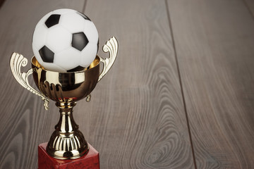 Wall Mural - golden football trophy cup