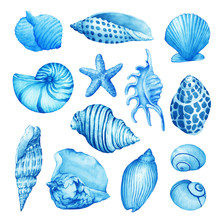 Set, Composition Of Underwater Life Objects - Blue Sea Shells. Illustrations Of Marine Design. Hand Drawn Watercolor Painting On White Background.