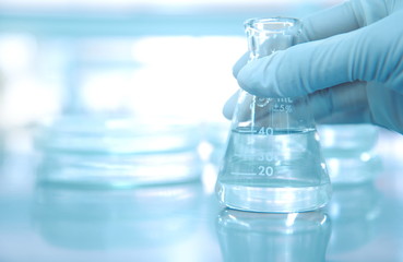 Wall Mural - scientist hand in rubber glove holding clear flask with blur petri dish background in medical resear