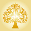 golden bodhi tree