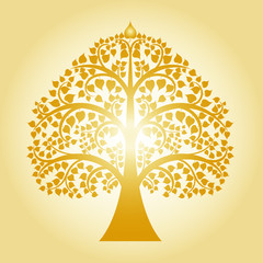 golden bodhi tree