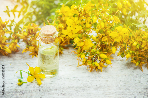 Fotografie, Obraz St. John's wort extract. Medicinal plants. Selective focus.