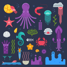 Marine Invertebrates, Mollusks And Jellyfishes Set. Ocean Exotic Underwater Animals And Deep Sea Creatures Collection In Flat Design.