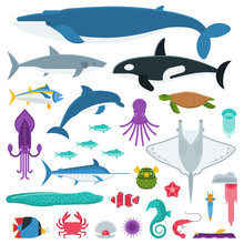 Underwater Animals And Sea Creatures In Cartoon Style. Ocean And Marine Fishes And Other Aquatic Life Collection. Vector Illustration Of Blue Whale, Devilfish, Dolphin, Orca, Octopus, Mollusks.