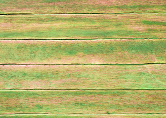 Background picture made of green wood boards.