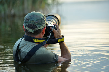 Wall Mural - wildlife photographer outdoor, standing in the water