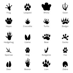 Sticker - Black footprints shapes of animals. Elephant, leopard, reptile and tiger. Different steps