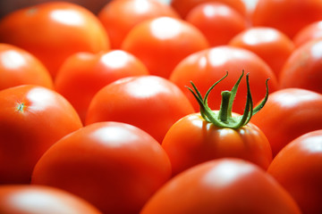 Some red natural tomatoes background. Empty copy space for Editor's text.