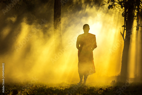 Cuadros en Lienzo Monk walking in temple meditating under a tree at Bangkok,buddhist temple in Tha