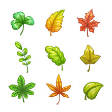 Cartoon Colorful Vector Leaves Set.