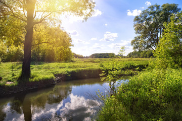 Wall Mural - narrow river with a field and green trees on the shore