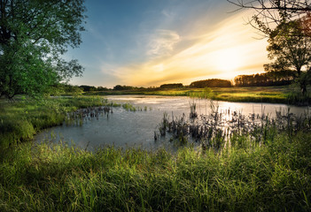 Wall Mural - sunset on the lake in the forest
