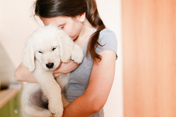 Young beautiful girl with a puppy of a golden labrador retriever in her arms, hugs, kisses and carries. The concept of love for animals, keeping dogs at home.