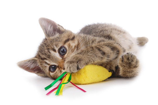 Fototapete -  - chaton jouant avec une souris en peluche jouet