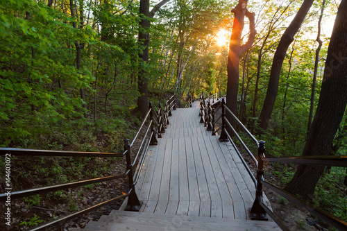 drewniany-most-na-wzgorzu-mont-royal-o-wschodzie-slonca