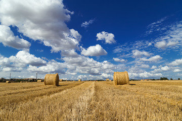 Field with bales of hay in the summer