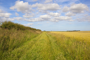 Wall Mural - minster way bridleway