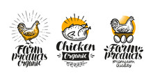 Chicken, Hen Label Set. Poultry Farm, Egg, Meat, Broiler, Pullet Icon Or Logo. Lettering Vector Illustration