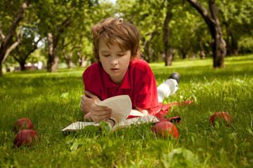 teen boy reading a book in the green summer apple trees park