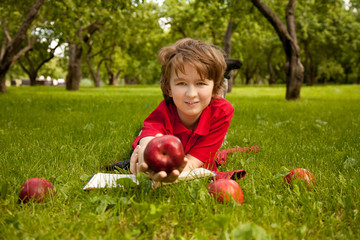 teen boy reading a book in the green summer apple trees park