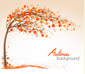Poster - Autumn background with a tree and a colorful leaves. Vector.
