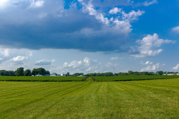  Indiana Farmland