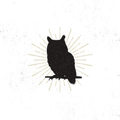 Wall Mural - Owl silhouette shape isolated on white background. Black animal icon. Solid template with sunbursts. Stock vector isolated.
