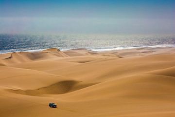 Poster -  Magical jeep - safari