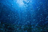 Fototapeta Do akwarium - Rising Bubbles in Deep Underwater