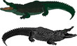 Crocodile color and black silhouette