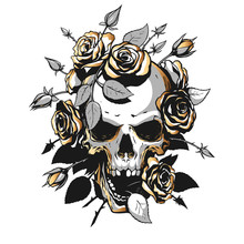 Skull With Roses Illustration