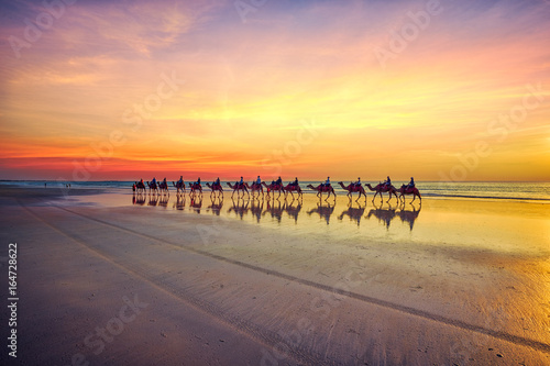 Fototapeta Wielbłądy przy zmierzchem na kabel plaży, Broome, zachodnia australia