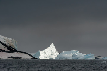 Wall Mural - Icebergs in Antarctica