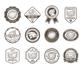 Set of black and white vector badges, stickers, high quality signs, real fresh natural product with durian fruit, in an engraving style isolated on white.