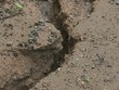 大雨後の土砂の浸食