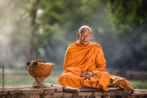 Cuadros en Lienzo Asian monk meditating under a tree