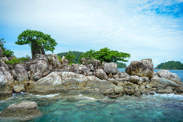 Wall Mural - Rock in the sea with trees and clear water.Beautiful seascape with rock in Thailand.Stone island with sky background.