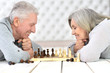 © aletia2011 - senior couple playing chess