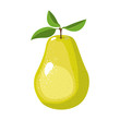 white background with realistic pear fruit vector illustration