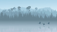 Illustration Of Forest Hills With Its Reflection In Lake With Swans.