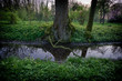 © Pierre - Wilhelmshaven
